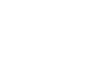 audi-w