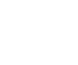 bmw-w