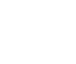 dacia_w