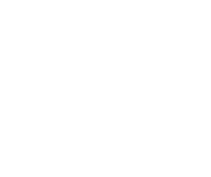 nissan-w