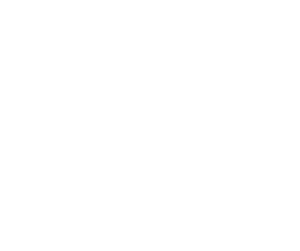 renault-w