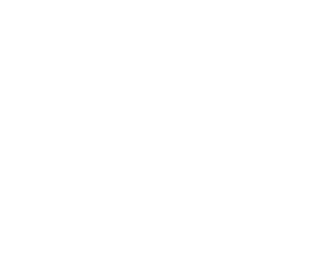 volkswagen-w